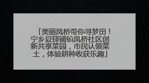 美丽凤桥带你寻梦田！宁乡夏铎铺镇凤桥社区创新共享菜园，市民认领菜土，体验耕种收获乐趣