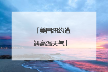 美国纽约遭遇高温天气
