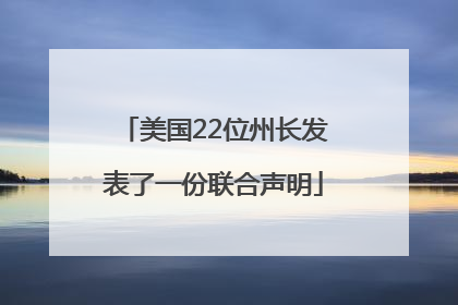 美国22位州长发表了一份联合声明