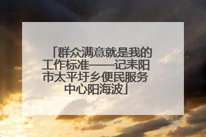 群众满意就是我的工作标准——记耒阳市太平圩乡便民服务中心阳海波