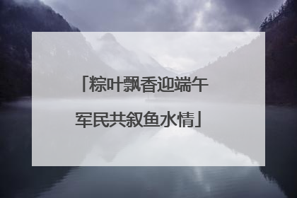 粽叶飘香迎端午 军民共叙鱼水情