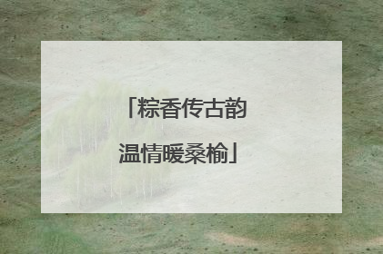粽香传古韵 温情暖桑榆