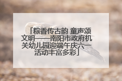 粽香传古韵 童声颂文明——南阳市政府机关幼儿园迎端午庆六一活动丰富多彩
