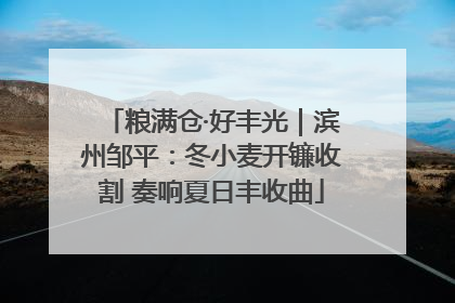 粮满仓·好丰光｜滨州邹平：冬小麦开镰收割 奏响夏日丰收曲
