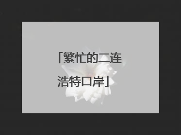 繁忙的二连浩特口岸