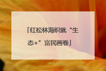 红松林海织就“生态+”富民画卷