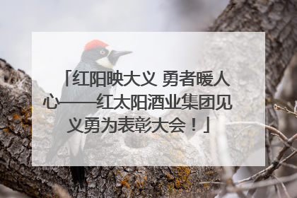 红阳映大义 勇者暖人心——红太阳酒业集团见义勇为表彰大会！