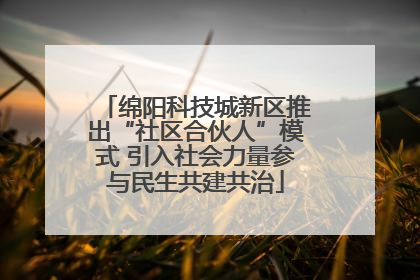 绵阳科技城新区推出“社区合伙人”模式 引入社会力量参与民生共建共治
