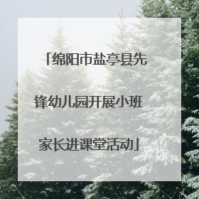 绵阳市盐亭县先锋幼儿园开展小班家长进课堂活动