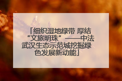 细织湿地绿带 厚结“文旅明珠”——中法武汉生态示范城挖掘绿色发展新动能