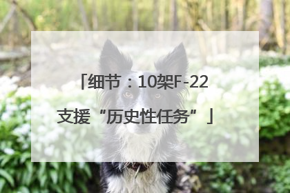 细节：10架F-22支援“历史性任务”