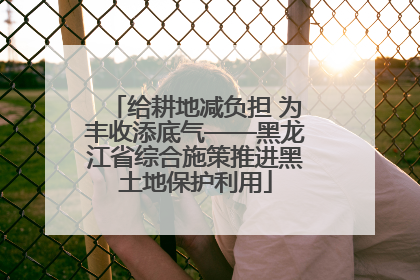 给耕地减负担 为丰收添底气——黑龙江省综合施策推进黑土地保护利用
