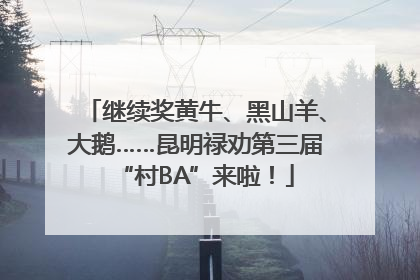 继续奖黄牛、黑山羊、大鹅……昆明禄劝第三届“村BA”来啦！