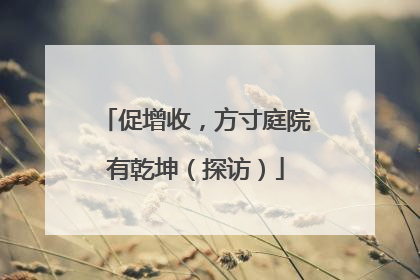 促增收，方寸庭院有乾坤（探访）
