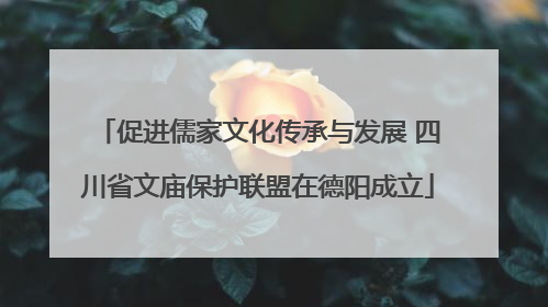 促进儒家文化传承与发展 四川省文庙保护联盟在德阳成立