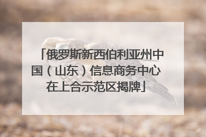 俄罗斯新西伯利亚州中国（山东）信息商务中心在上合示范区揭牌