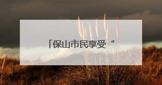 保山市民享受“一站式”国际购物与文化交流体验