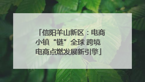 信阳羊山新区：电商小镇“链”全球 跨境电商点燃发展新引擎