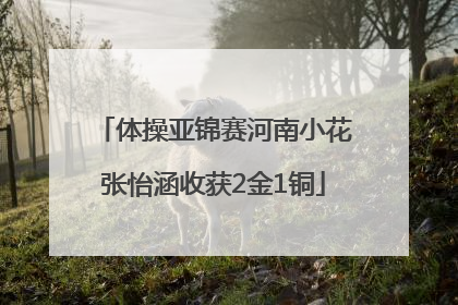 体操亚锦赛河南小花张怡涵收获2金1铜