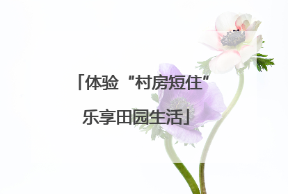 体验“村房短住” 乐享田园生活