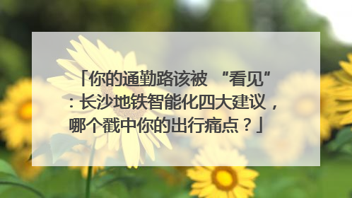 你的通勤路该被 “看见”：长沙地铁智能化四大建议，哪个戳中你的出行痛点？