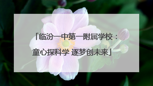 临汾一中第一附属学校：童心探科学 逐梦创未来