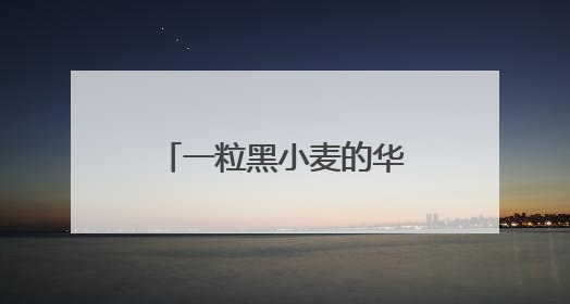 一粒黑小麦的华丽蜕变 麦田“黑科技”助力山西农业向新提质