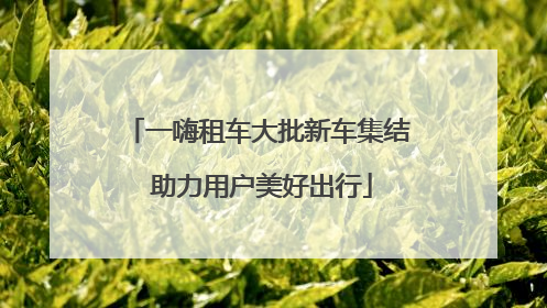 一嗨租车大批新车集结 助力用户美好出行