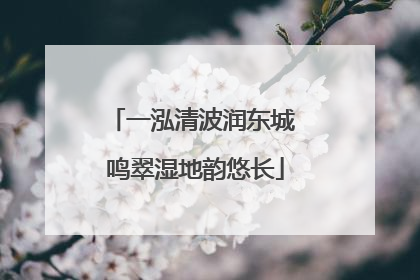 一泓清波润东城 鸣翠湿地韵悠长