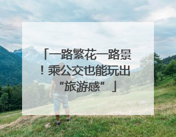 一路繁花一路景！乘公交也能玩出“旅游感”