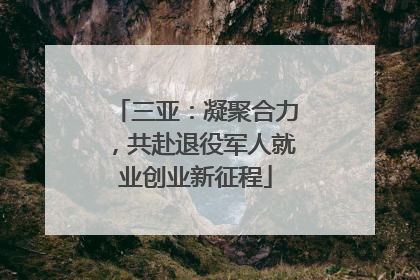 三亚：凝聚合力，共赴退役军人就业创业新征程
