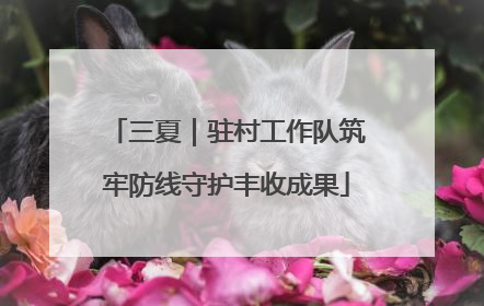 三夏｜驻村工作队筑牢防线守护丰收成果