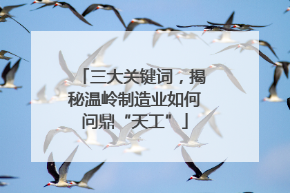 三大关键词，揭秘温岭制造业如何问鼎“天工”