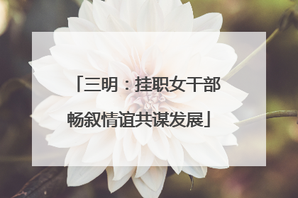 三明：挂职女干部畅叙情谊共谋发展