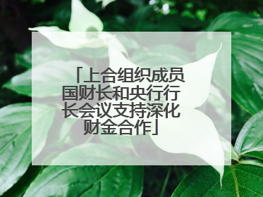 上合组织成员国财长和央行行长会议支持深化财金合作
