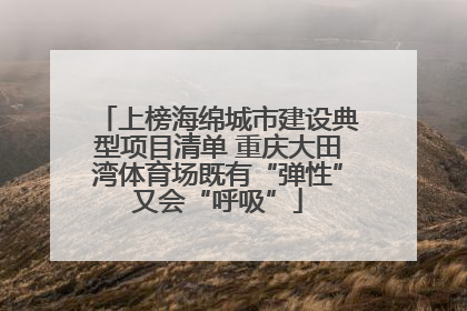 上榜海绵城市建设典型项目清单 重庆大田湾体育场既有“弹性”又会“呼吸”