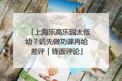 上海乐高乐园太低幼？请先做功课再给差评｜锋面评论