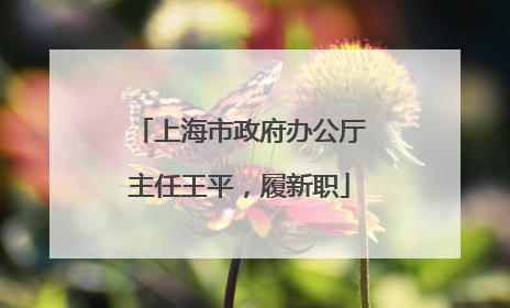 上海市政府办公厅主任王平，履新职