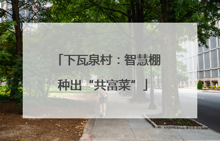 下瓦泉村：智慧棚种出“共富菜”