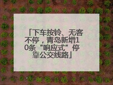 下车按铃、无客不停，青岛新增10条“响应式”停靠公交线路