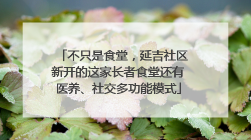 不只是食堂，延吉社区新开的这家长者食堂还有医养、社交多功能模式
