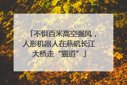不惧百米高空强风，人形机器人在燕矶长江大桥走“猫道”