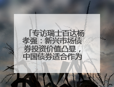 专访瑞士百达杨孝强：新兴市场债券投资价值凸显，中国债券适合作为“稳定器”