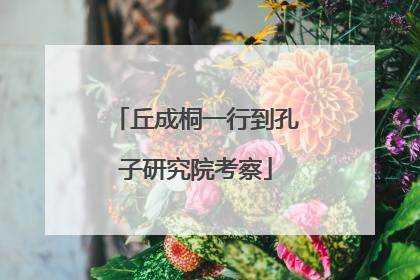 丘成桐一行到孔子研究院考察
