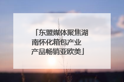 东盟媒体聚焦湖南怀化箱包产业 产品畅销亚欧美