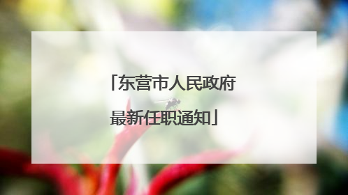 东营市人民政府最新任职通知
