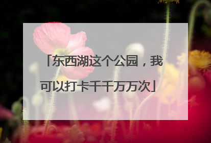 东西湖这个公园，我可以打卡千千万万次