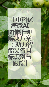 中科亿海微AI图像推理解决方案：助力智能装备目标识别与跟踪