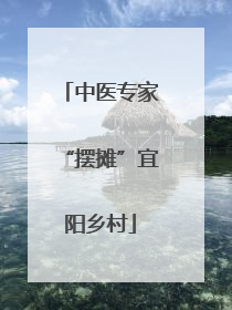 中医专家“摆摊”宜阳乡村