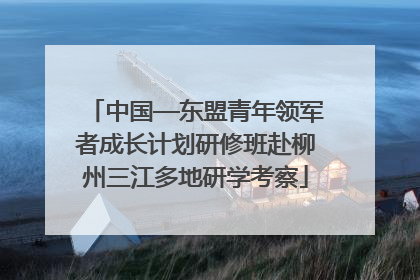 中国—东盟青年领军者成长计划研修班赴柳州三江多地研学考察